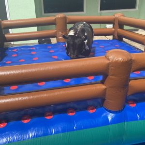 Aluguel de Brinquedos Infláveis em Brasília e entorno do DF. Touro Mecânico